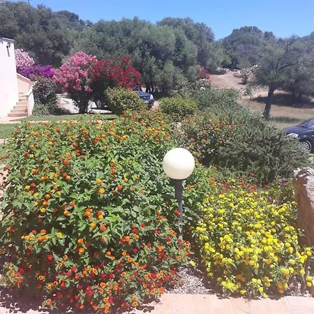 Resort Costa Smeralda Appartamento Cugnana
